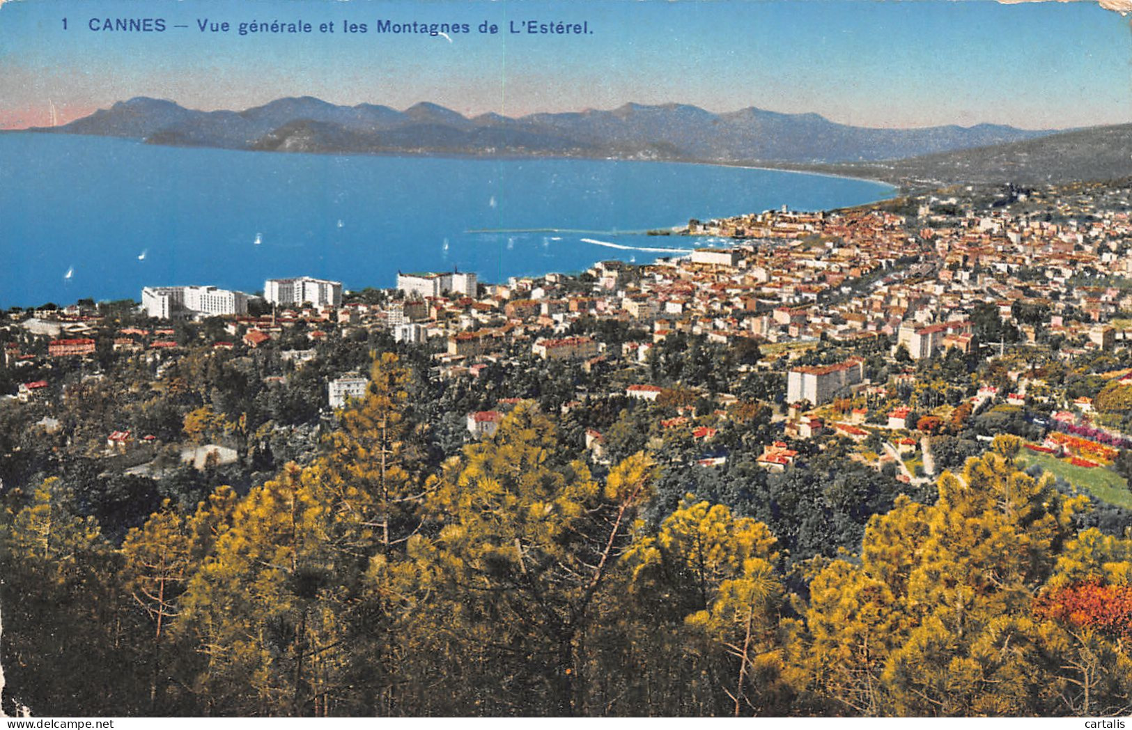 06-CANNES-N°3787-H/0149 - Cannes