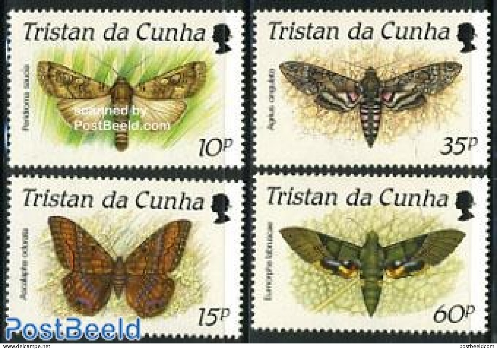 Tristan Da Cunha 1990 Butterflies 4v, Mint NH, Nature - Butterflies - Tristan Da Cunha