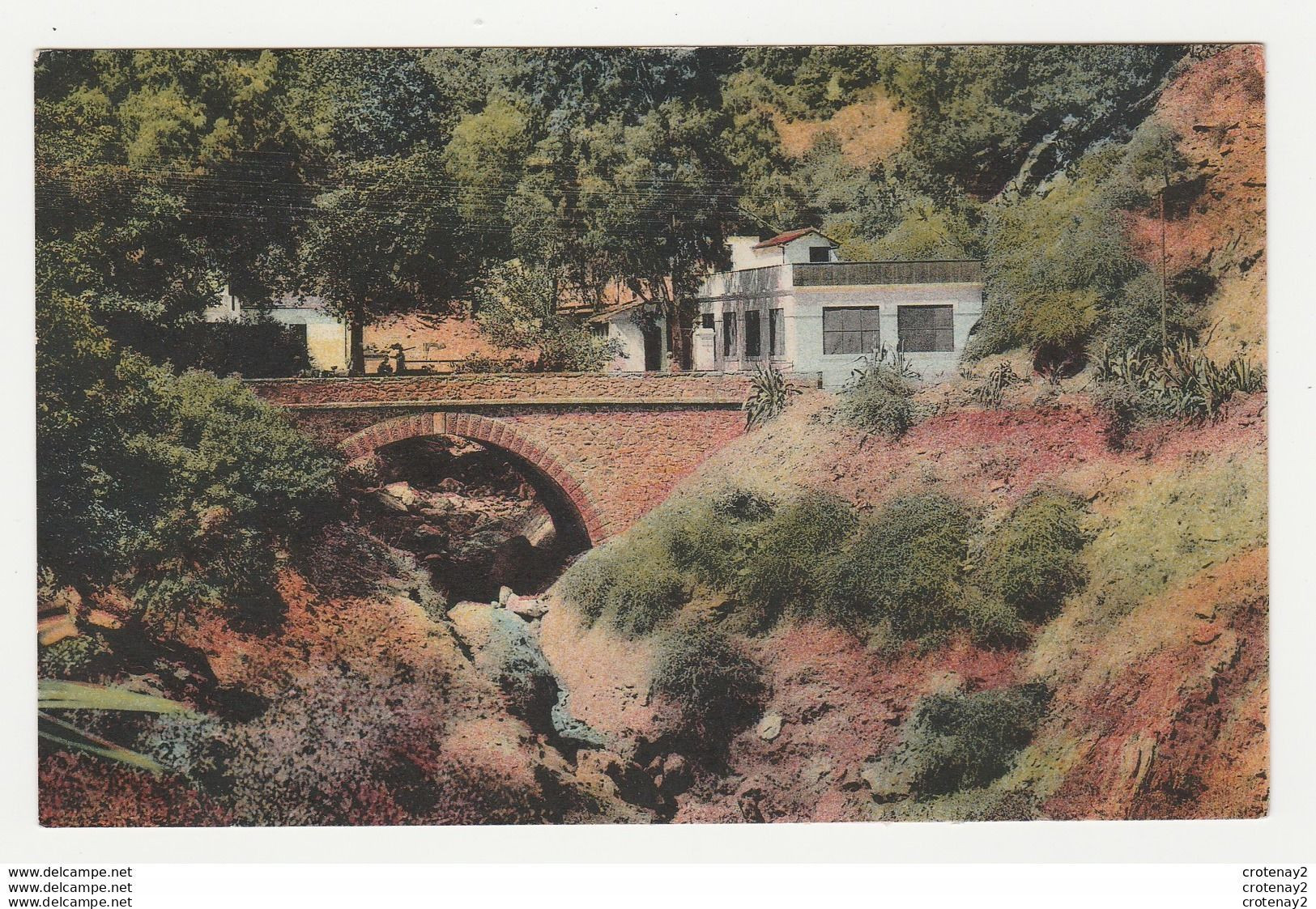 Algérie BLIDA N°382 L'Hôtel Du RUISSEAU DES SINGES Beau Pont VOIR DOS - Blida