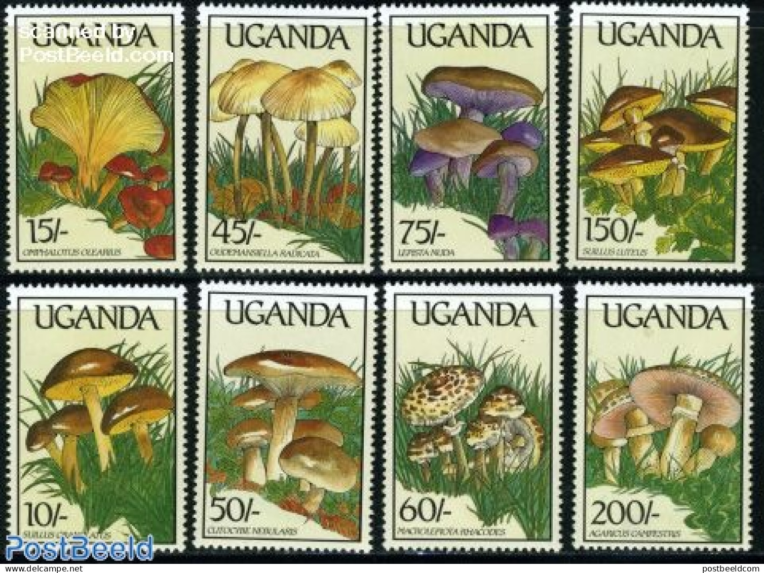 Uganda 1989 Mushrooms 8v, Mint NH, Nature - Mushrooms - Hongos