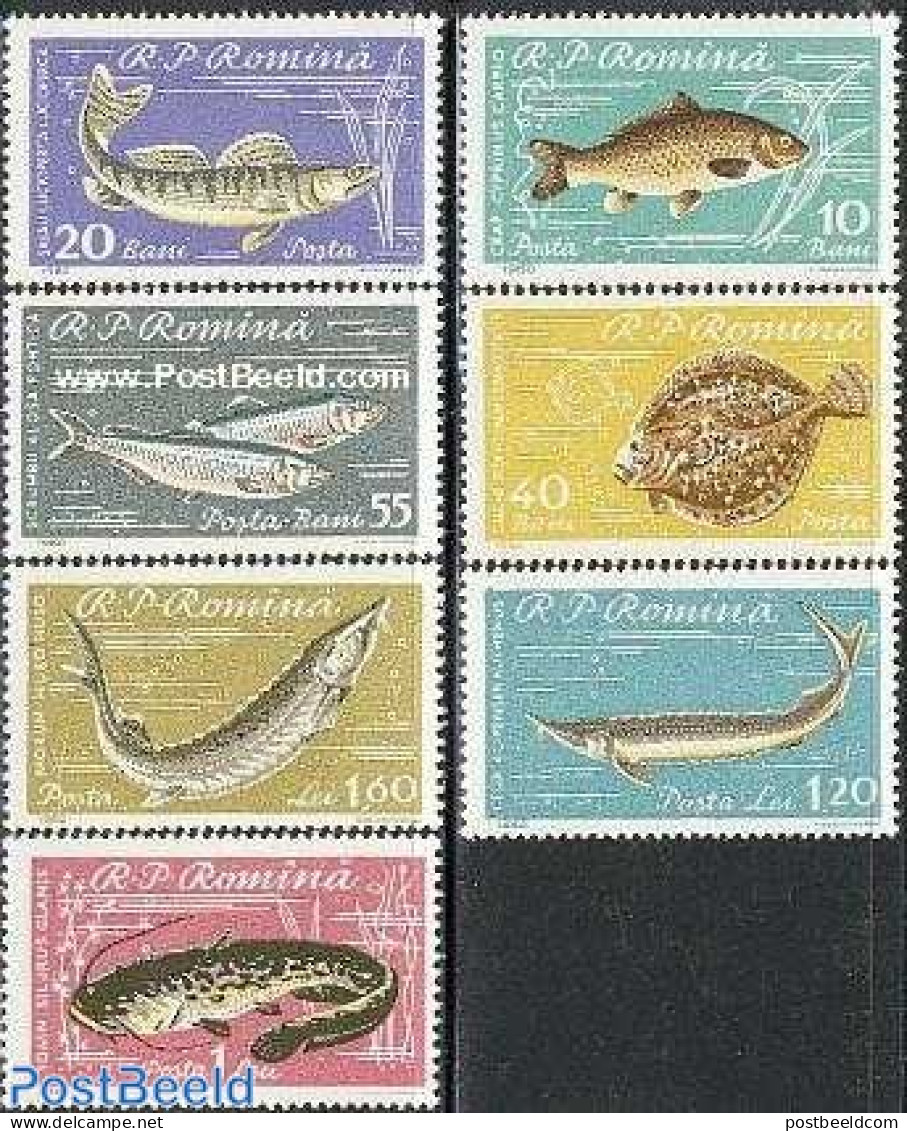 Romania 1960 Fish 7v, Mint NH, Nature - Fish - Neufs