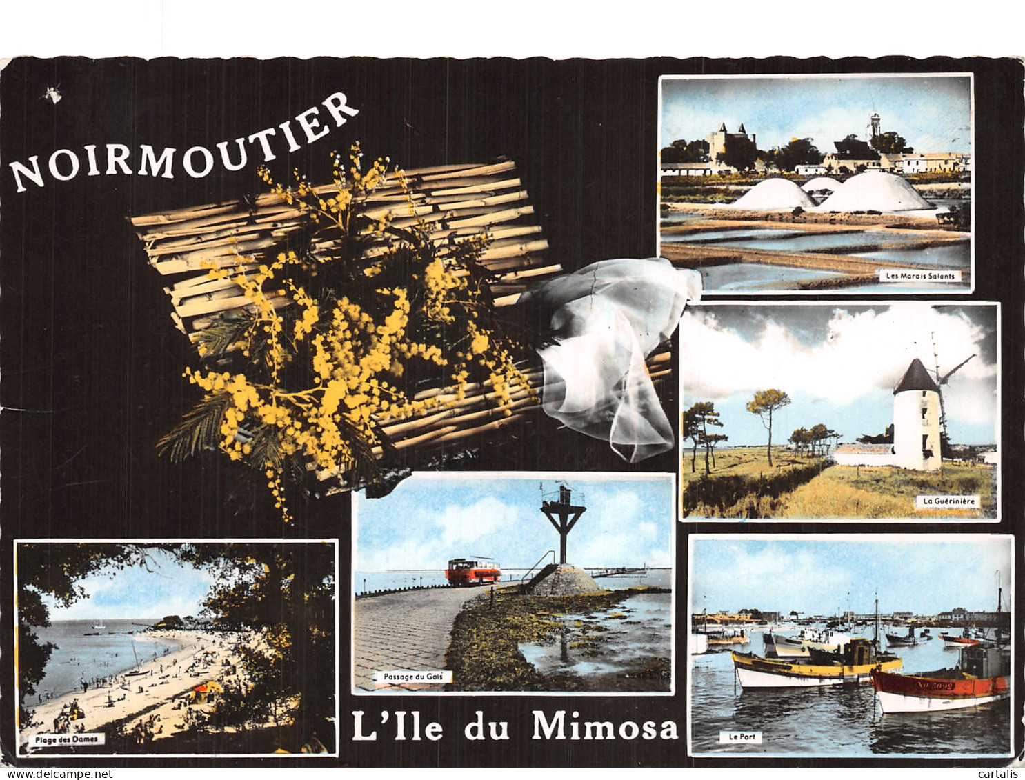 85-NOIRMOUTIER-N° 4421-A/0249 - Noirmoutier