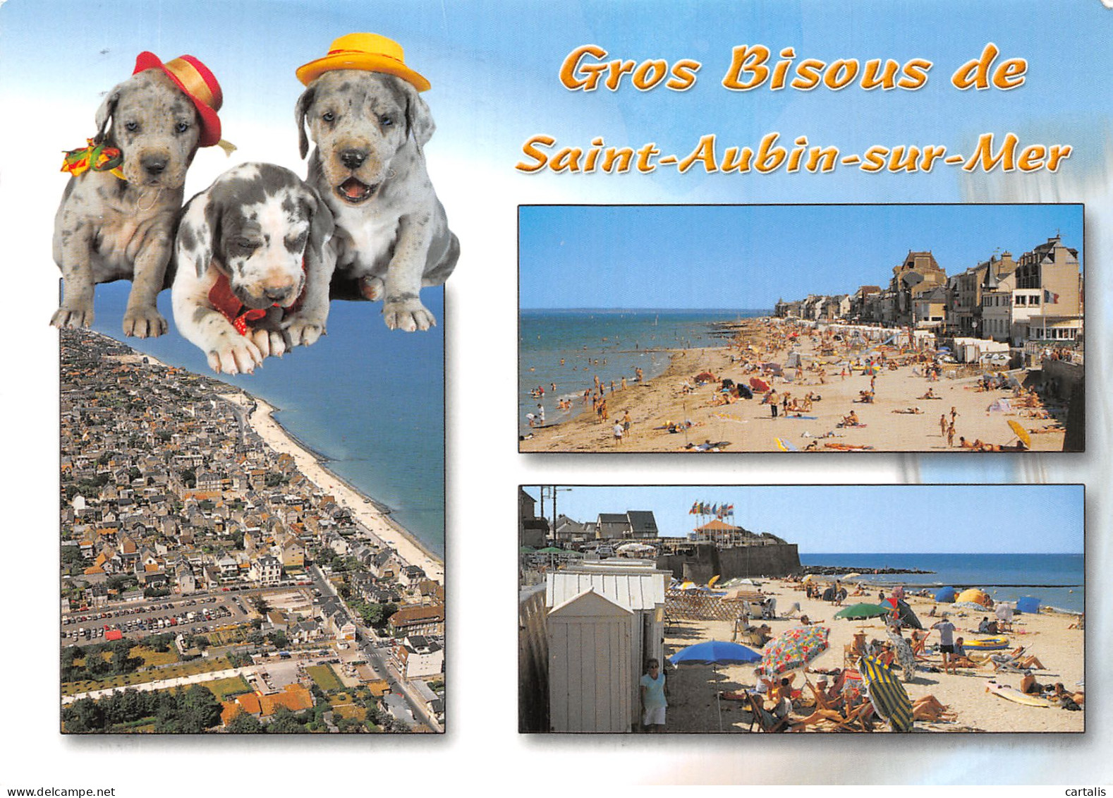 14-SAINT AUBIN SUR MER-N° 4421-C/0277 - Saint Aubin