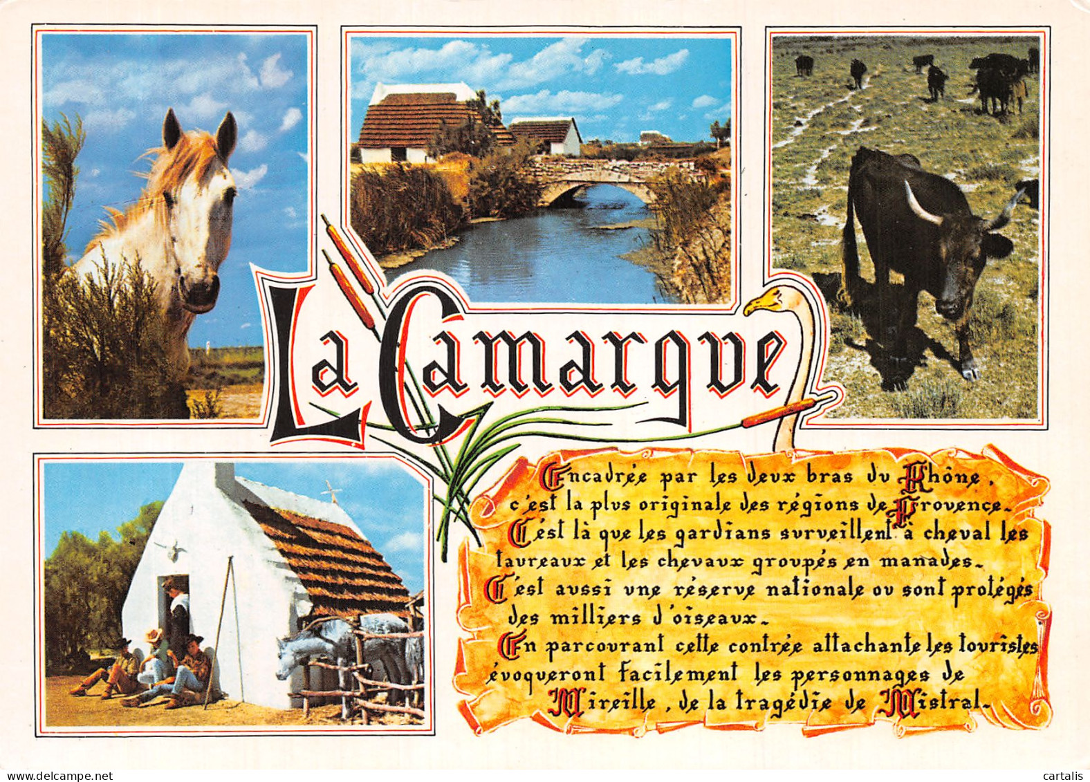 13-LA CAMARGUE-N° 4421-C/0261 - Sonstige & Ohne Zuordnung