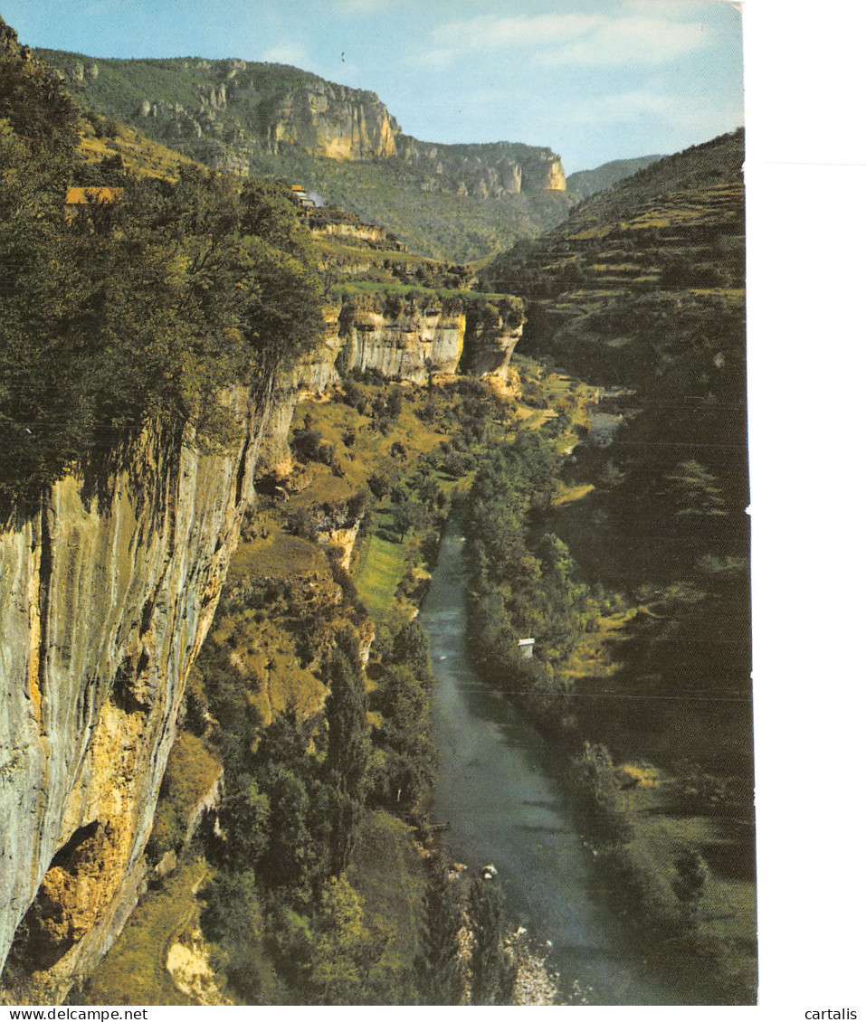 48-GORGES DE LA JONTE-N° 4421-B/0337 - Other & Unclassified