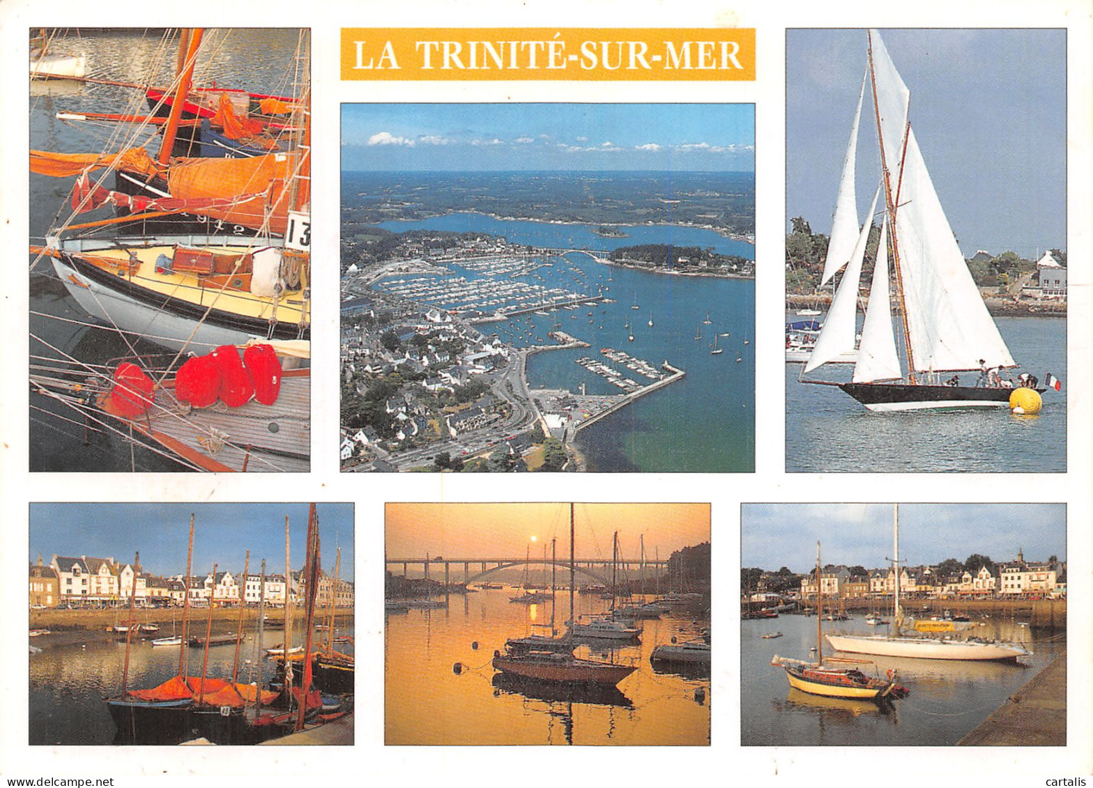 56-LA TRINITE SUR MER-N° 4421-B/0275 - La Trinite Sur Mer