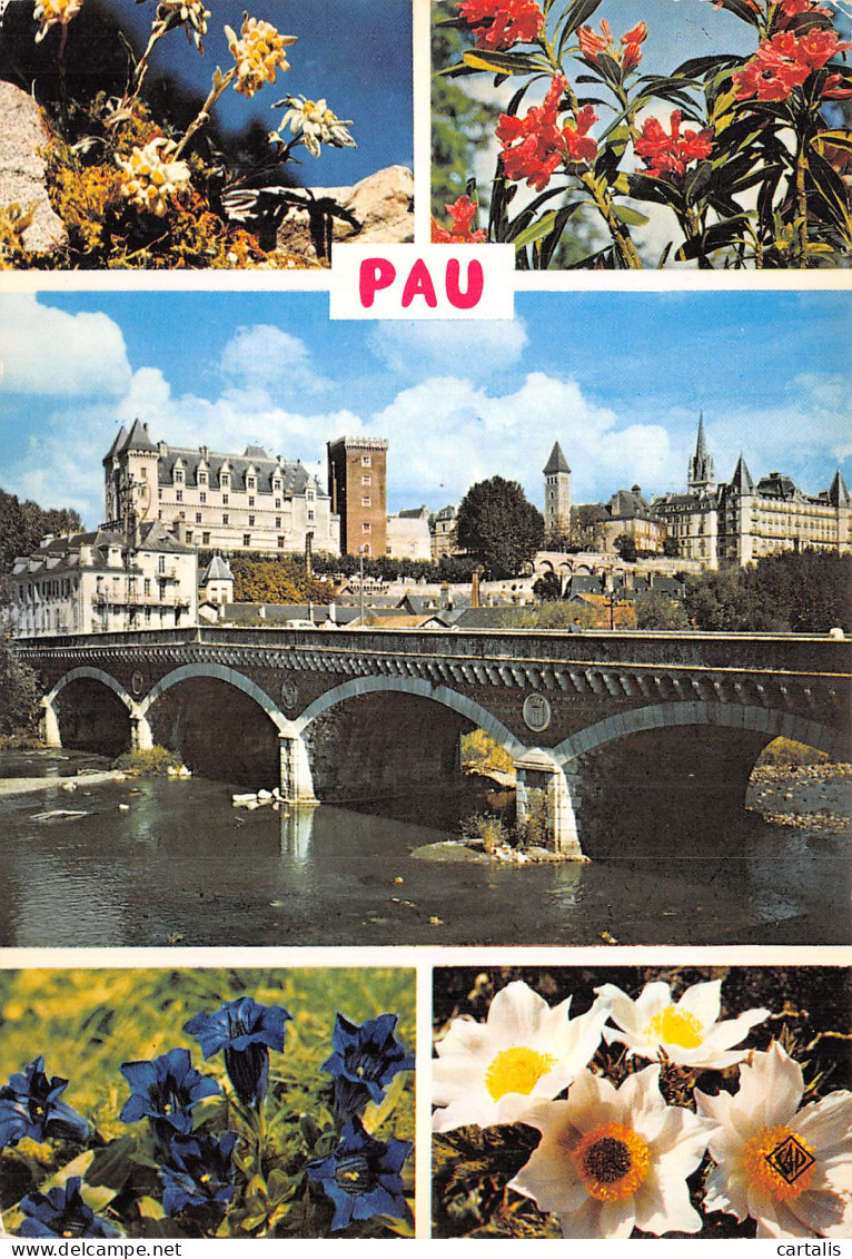 64-PAU-N° 4422-C/0017 - Pau