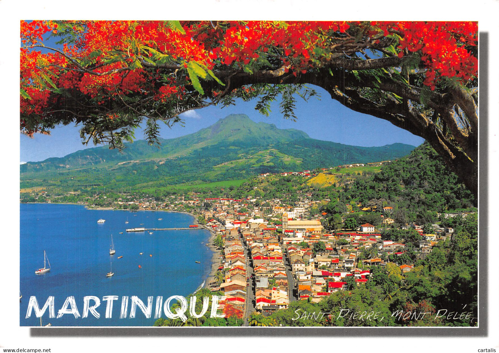 972-MARTINIQUE SAINT PIERRE MONT PELEE-N° 4422-B/0167 - Andere & Zonder Classificatie