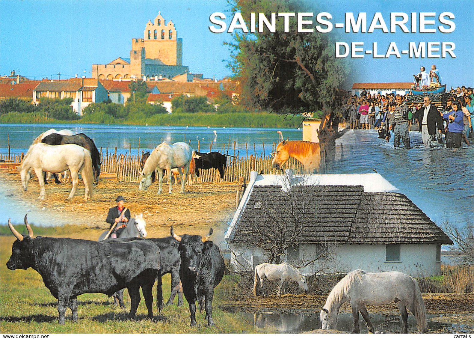 13-LES SAINTES MARIES DE LA MER-N° 4422-B/0037 - Saintes Maries De La Mer