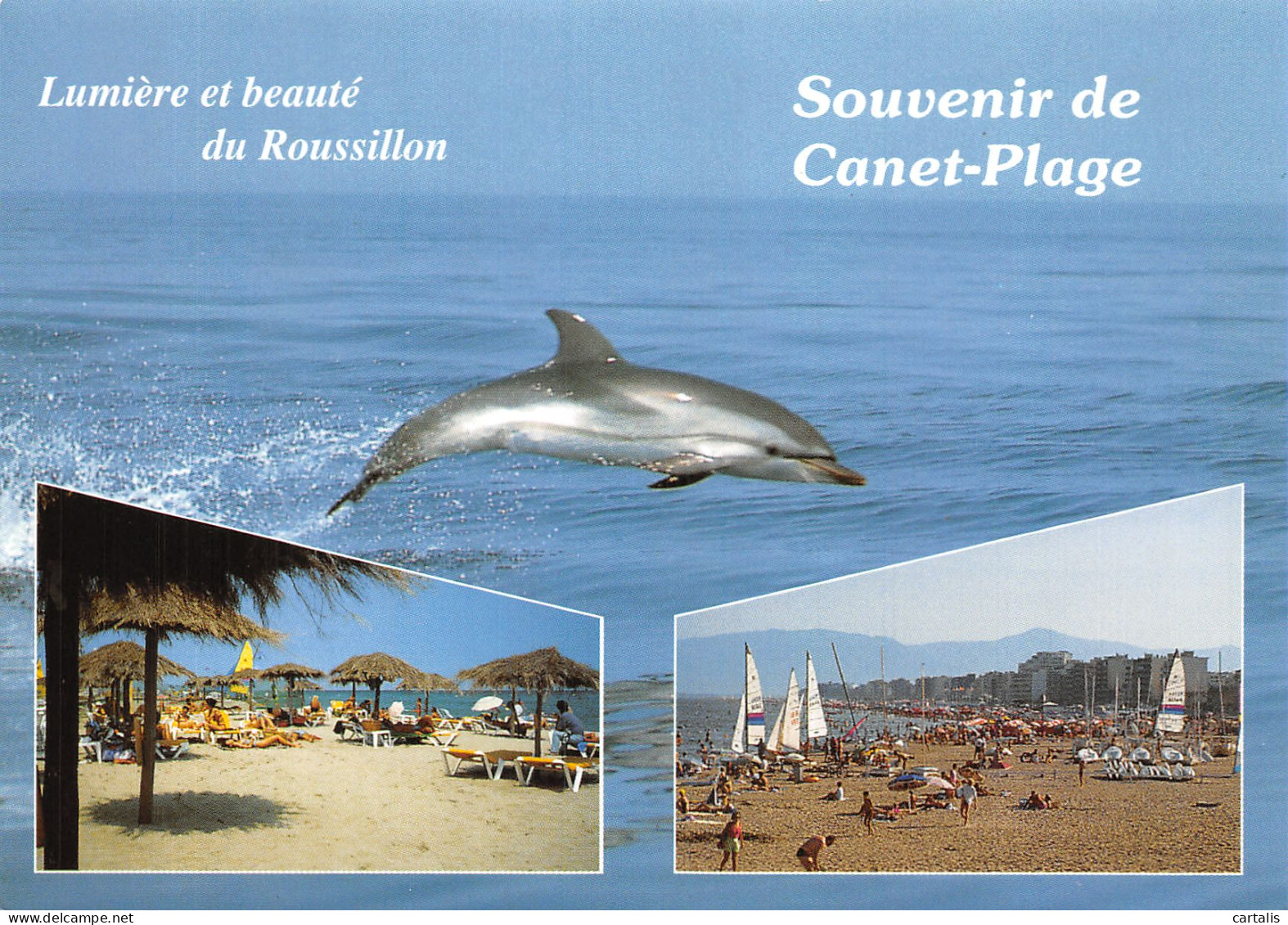 66-CANET PLAGE-N° 4422-A/0227 - Canet Plage