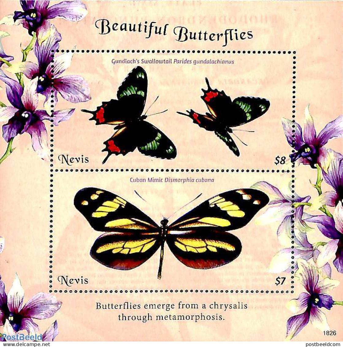 Nevis 2018 Butterflies 2v M/s, Mint NH, Nature - Butterflies - St.Kitts And Nevis ( 1983-...)