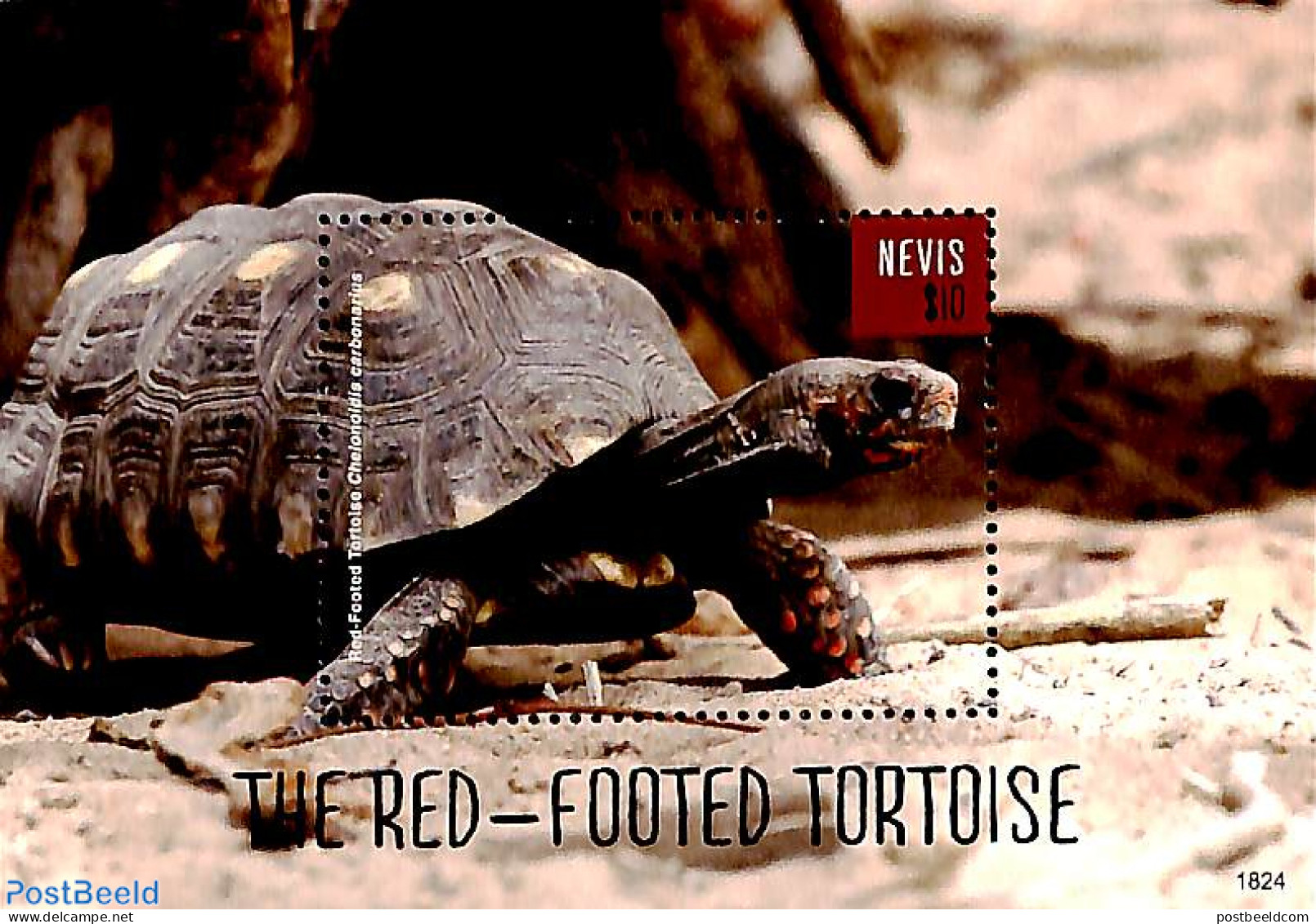 Nevis 2018 Red-footed Tortoise S/s, Mint NH, Nature - Reptiles - Turtles - St.Kitts-et-Nevis ( 1983-...)