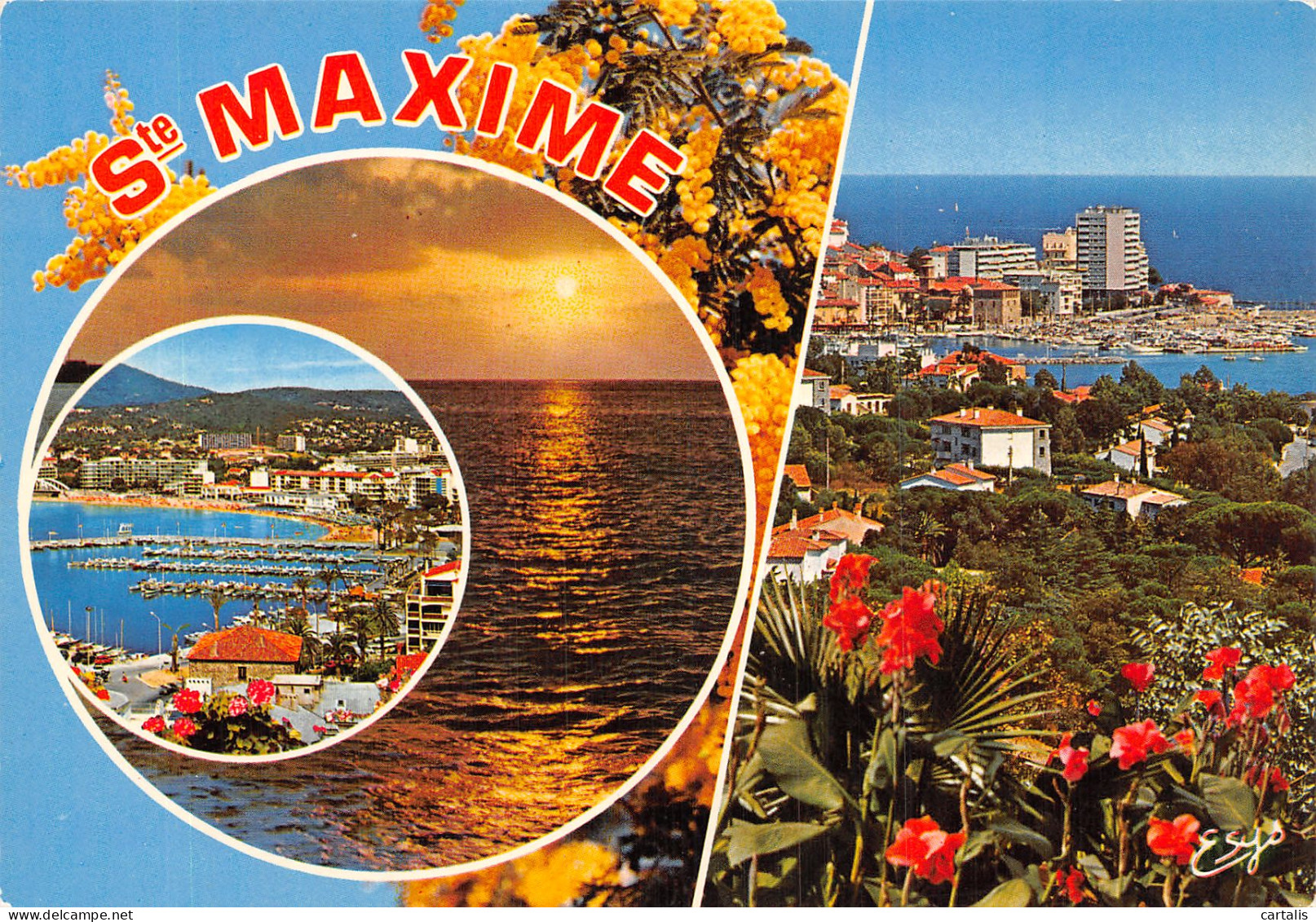 83-SAINTE MAXIME-N° 4423-A/0201 - Sainte-Maxime