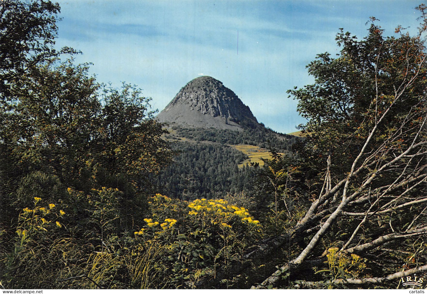 07-LE MONT GERBIER DE JONC-N° 4423-A/0047 - Sonstige & Ohne Zuordnung