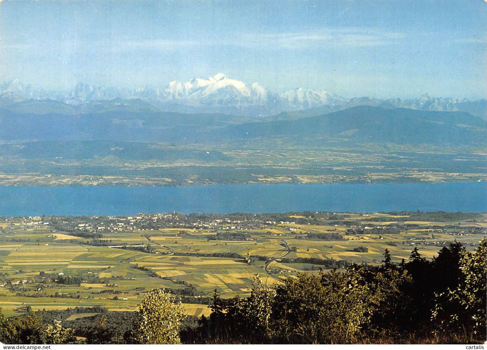 74-SAINT CERGUE LE JURA SUISSE-N° 4422-D/0193 - Autres & Non Classés