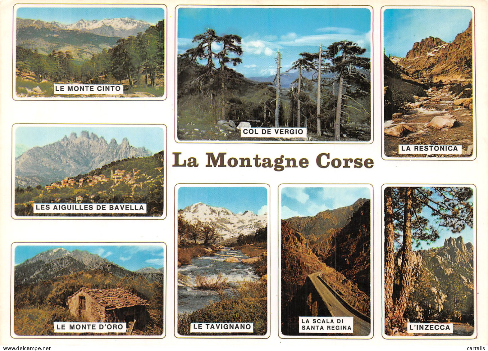 20-LA MONTAGNE CORSE-N° 4422-C/0397 - Other & Unclassified