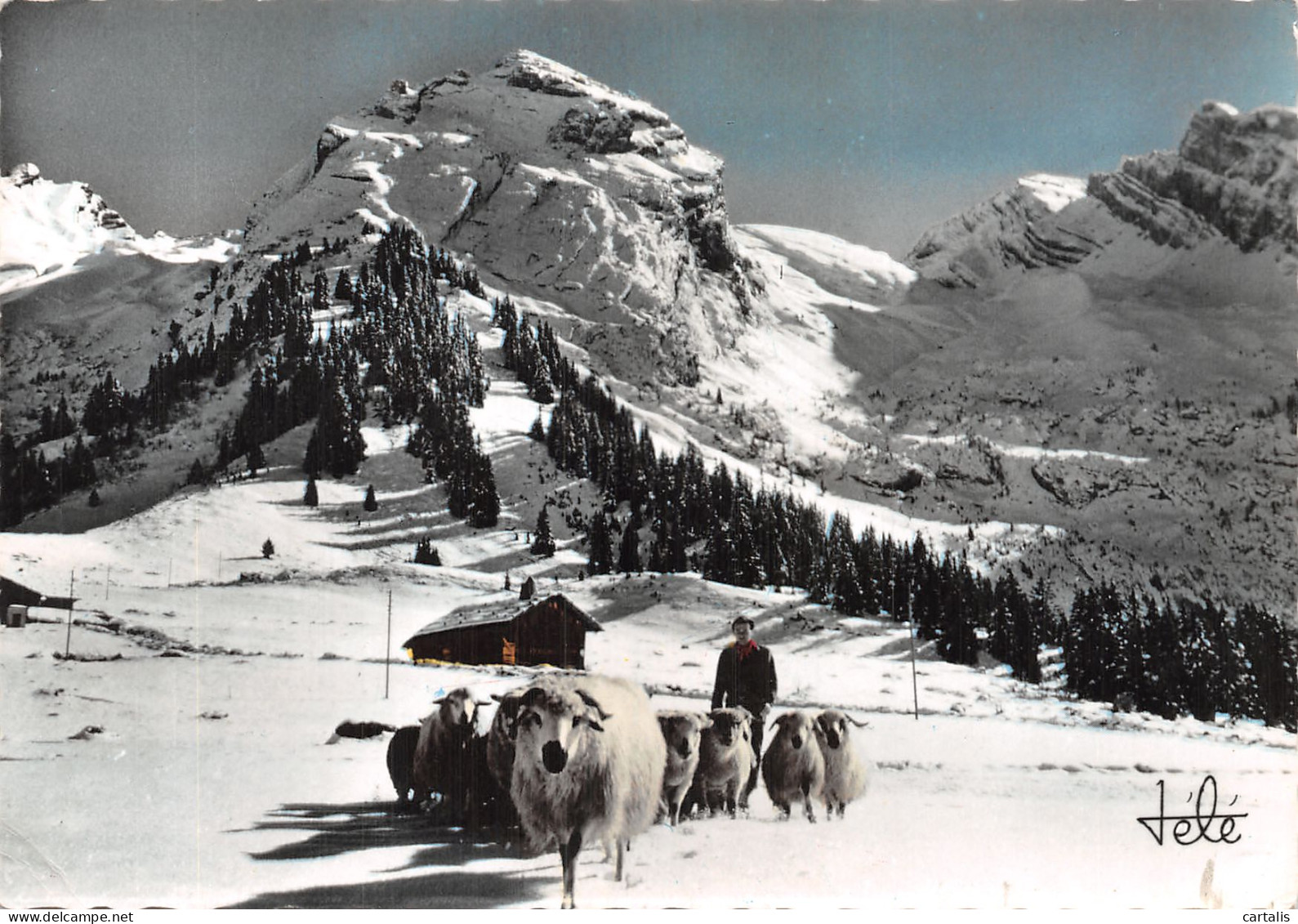 73-LES ARAVIS-N° 4422-C/0305 - Otros & Sin Clasificación