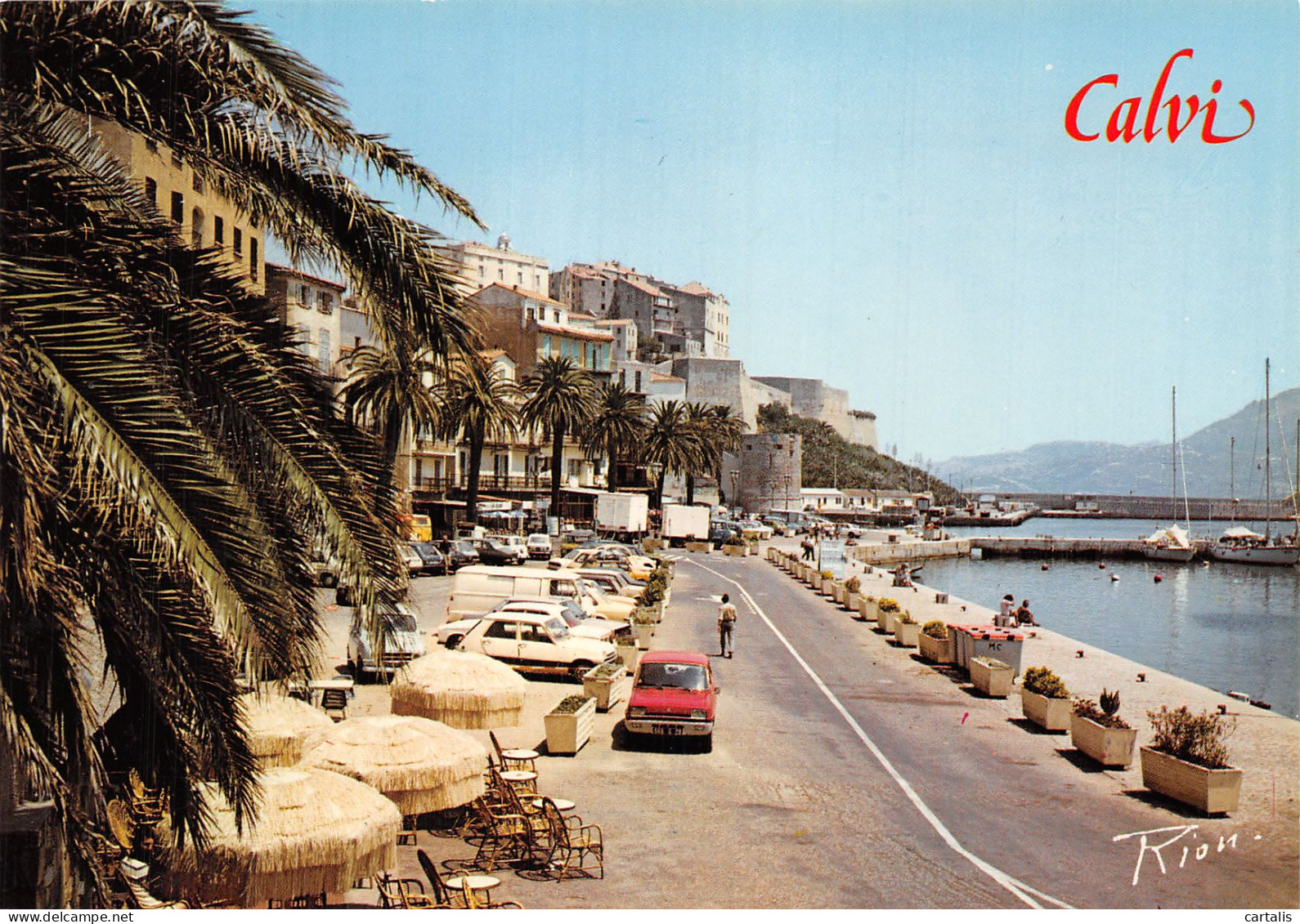 2B-CALVI-N° 4423-D/0221 - Calvi