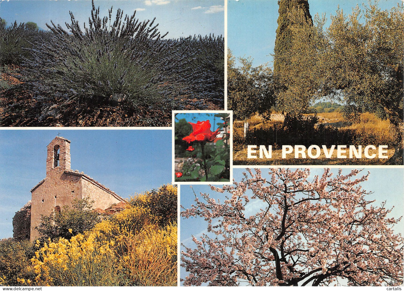 13-EN PROVENCE-N° 4423-D/0053 - Sonstige & Ohne Zuordnung