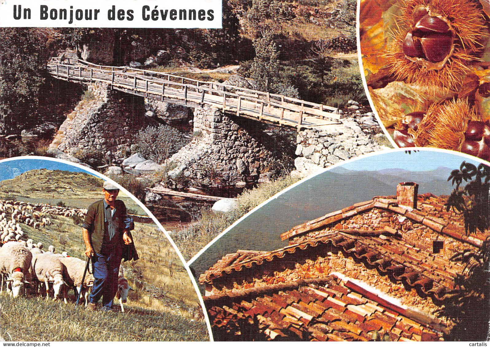 48-LES CEVENNES-N° 4423-C/0105 - Other & Unclassified