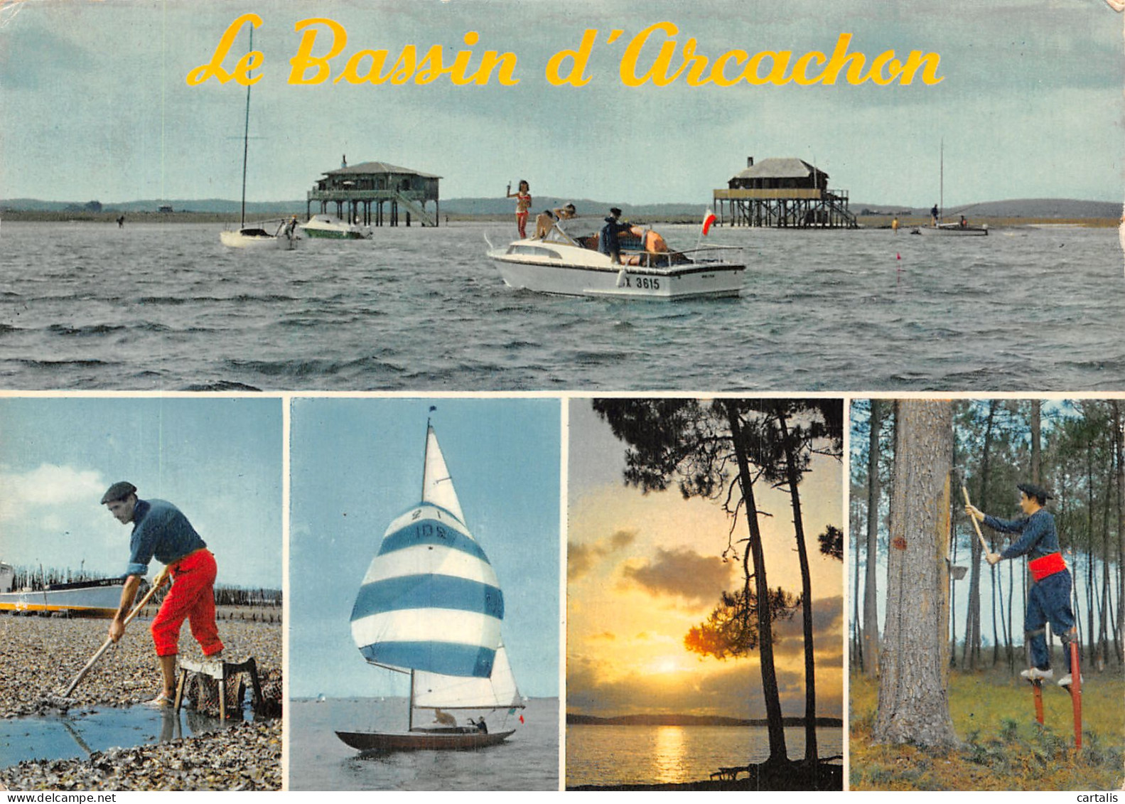 33-BASSIN D ARCACHON-N° 4423-B/0087 - Other & Unclassified