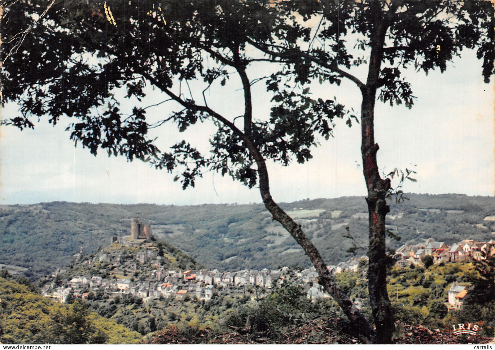 12-NAJAC LE CHATEAU-N° 4423-B/0085 - Najac