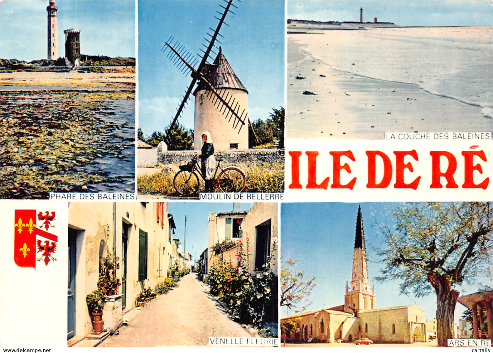 17-ILE DE RE-N° 4424-A/0101 - Ile De Ré