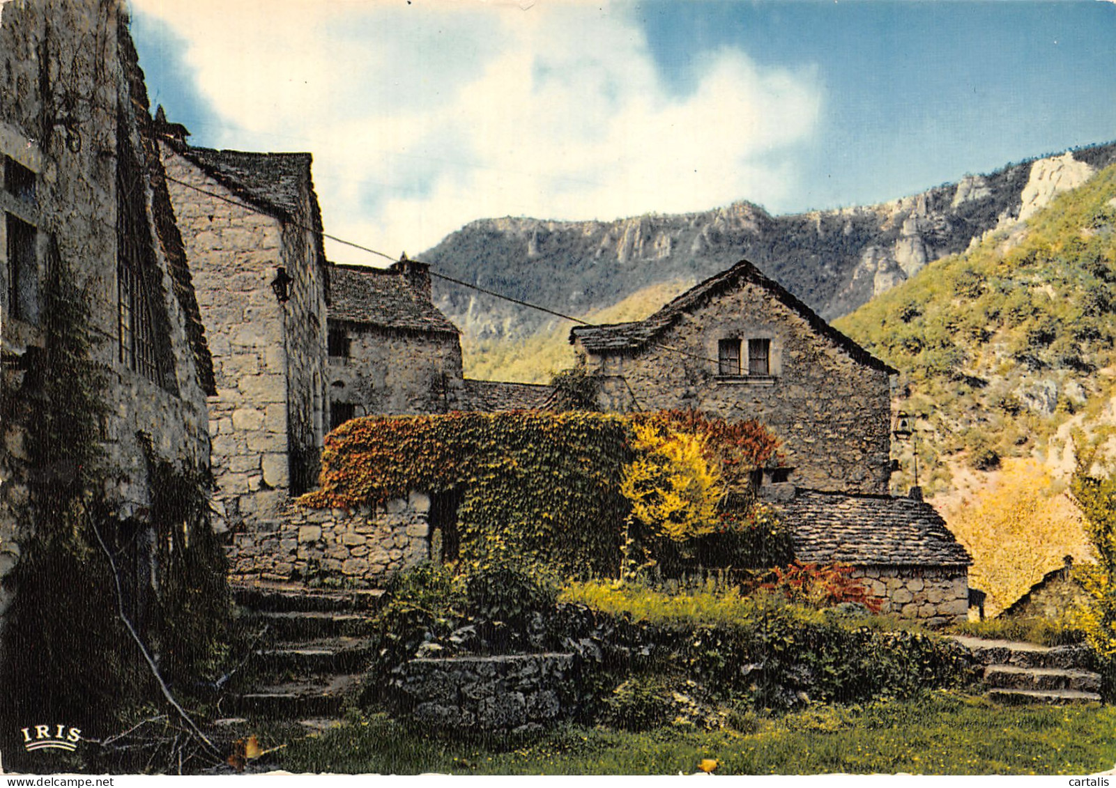 48-LES GORGES DU TARN VIEILLES MAISONS-N° 4423-D/0353 - Sonstige & Ohne Zuordnung