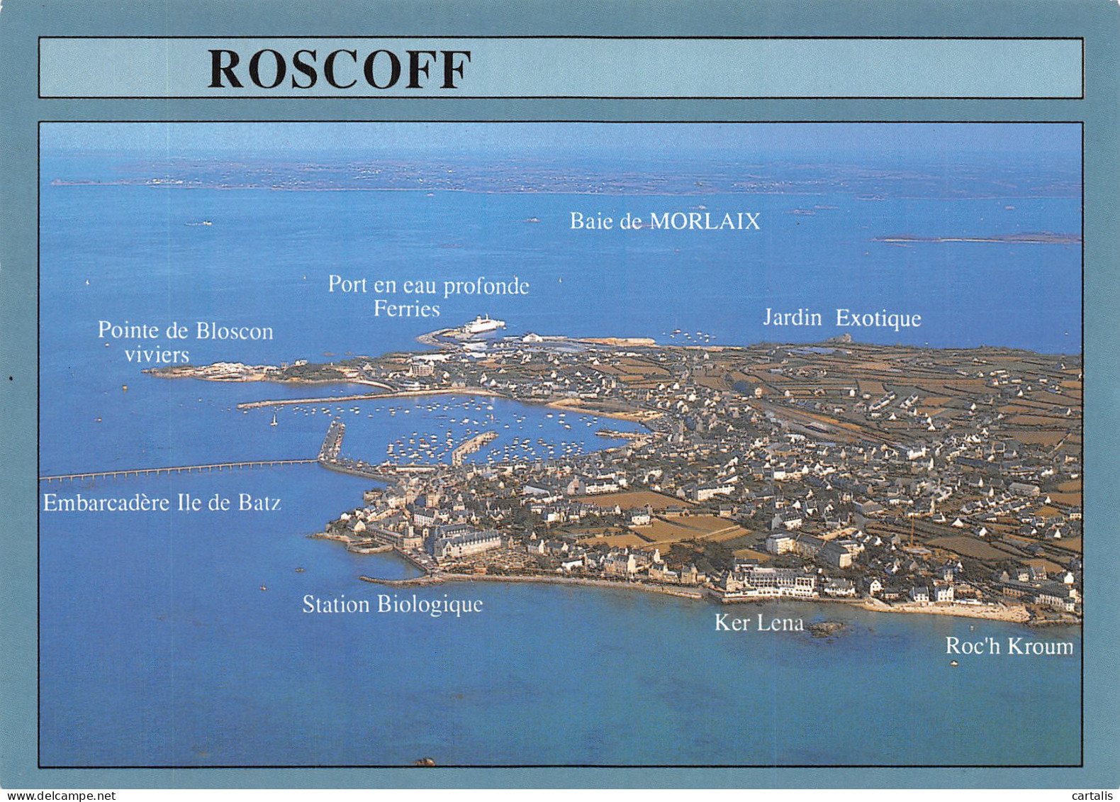 29-ROSCOFF-N° 4424-D/0045 - Roscoff