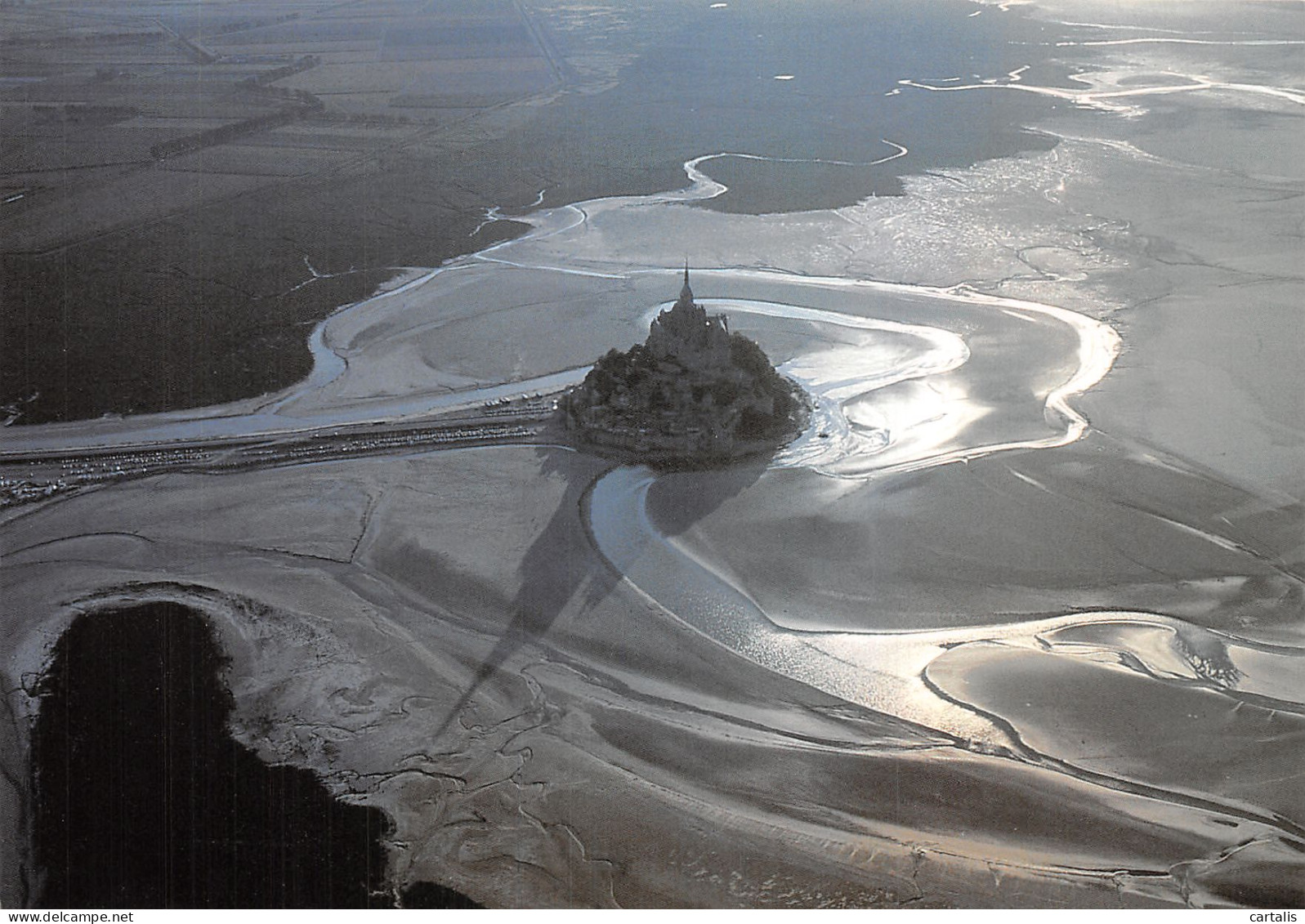 50-LE MONT SAINT MICHEL-N° 4424-D/0029 - Le Mont Saint Michel