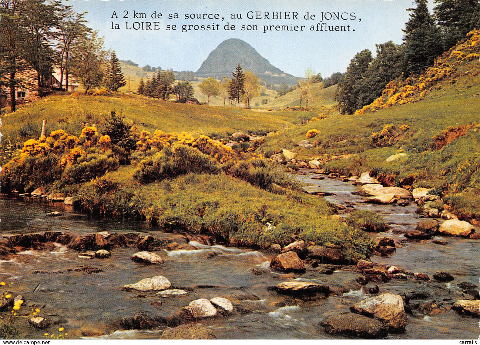 07-LE MONT GERBIER DE JONC-N° 4424-D/0023 - Autres & Non Classés