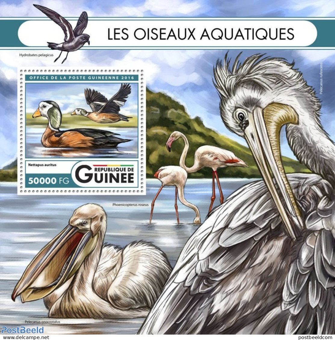 Guinea, Republic 2016 Waterbirds, Mint NH, Nature - Birds - Flamingo - Andere & Zonder Classificatie