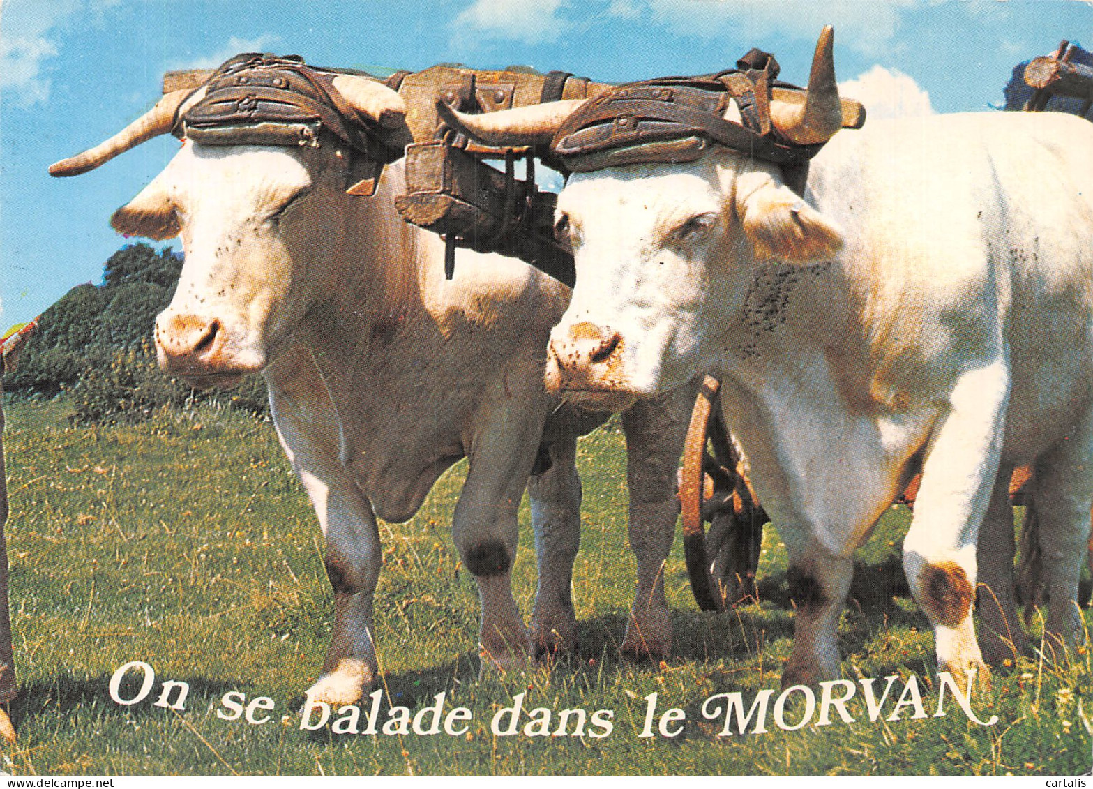 58-EN MORVAN-N° 4424-C/0155 - Andere & Zonder Classificatie