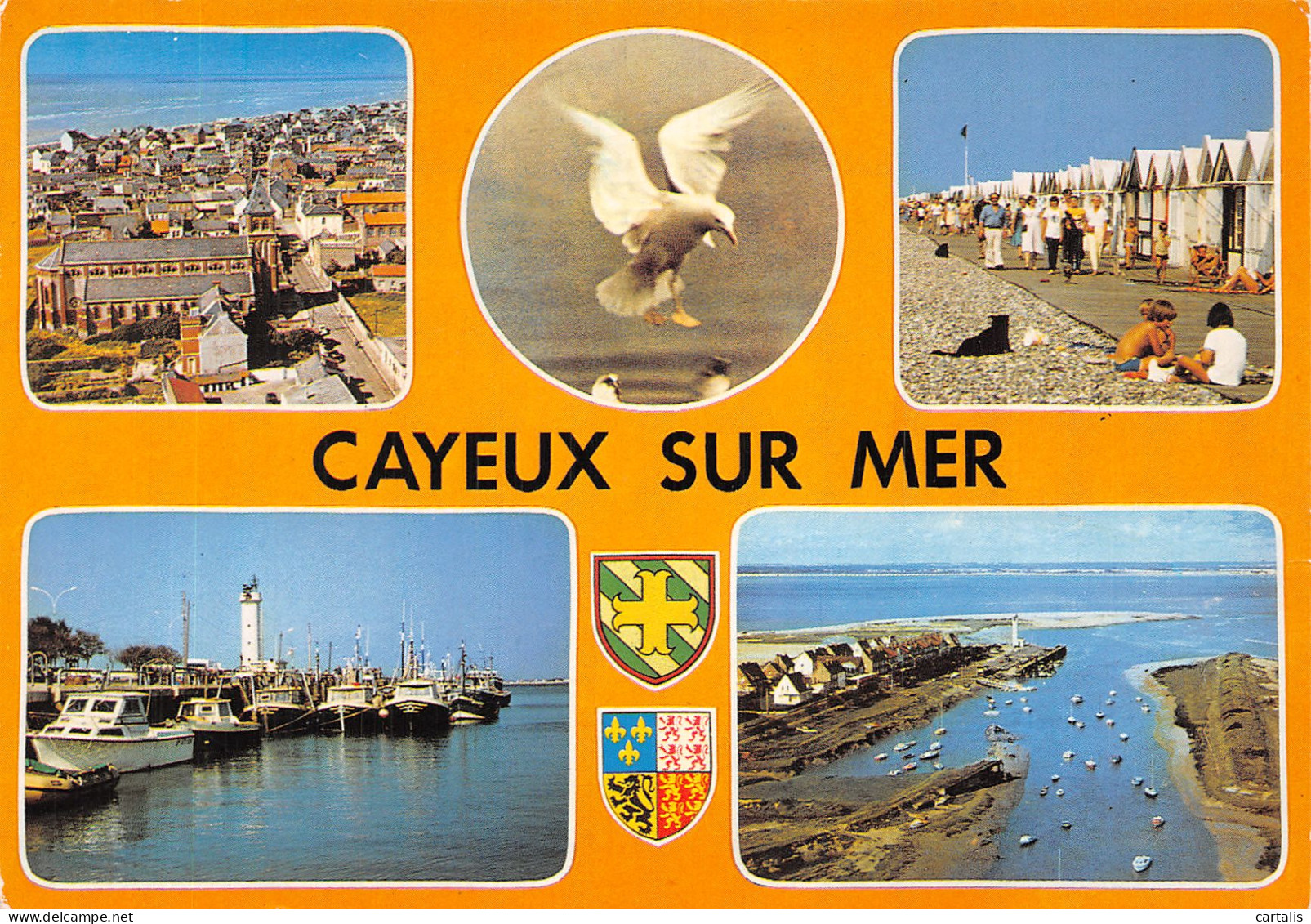 80-CAYEUX SUR MER-N° 4424-C/0157 - Cayeux Sur Mer