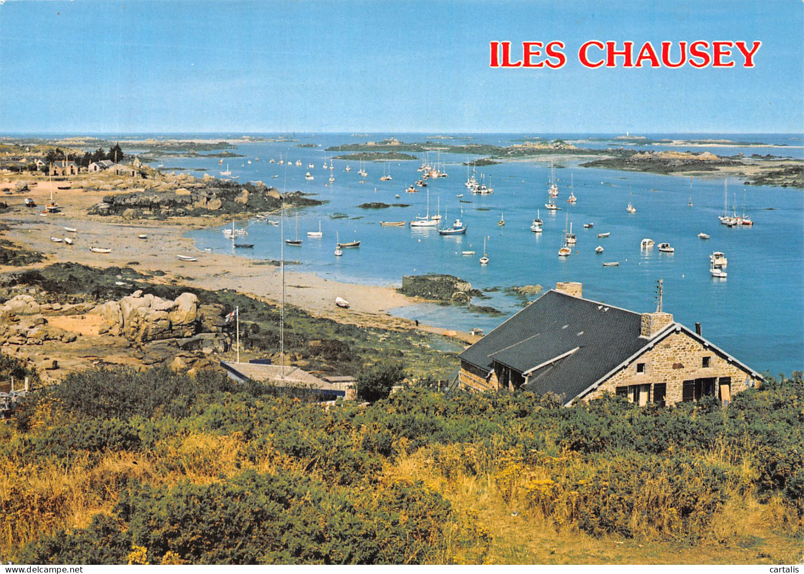 50-LES ILES CHAUSEY-N° 4425-D/0017 - Andere & Zonder Classificatie