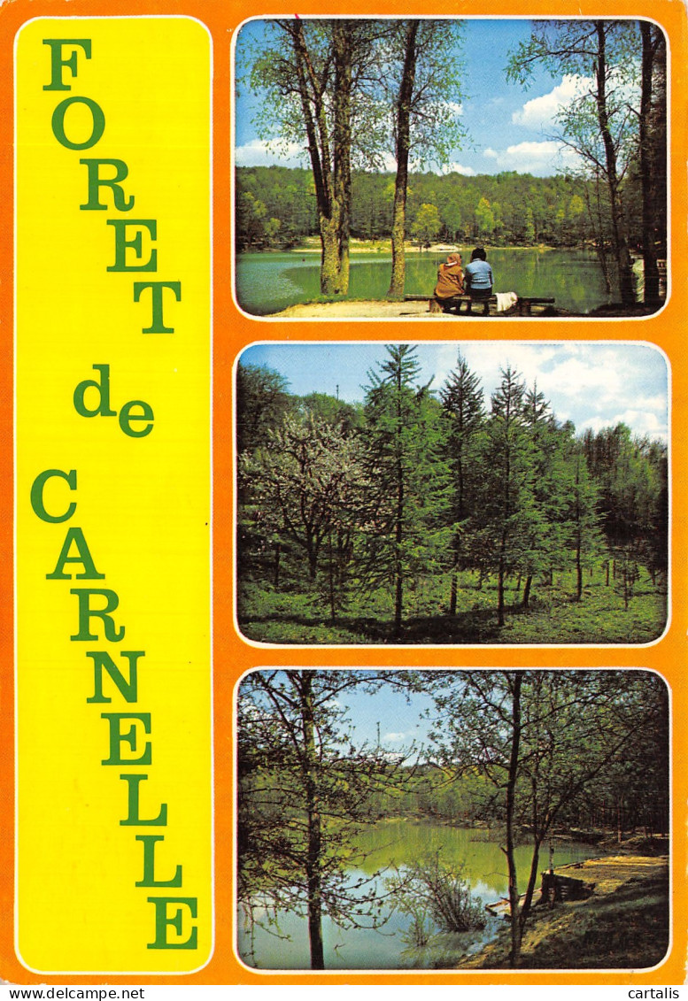 95-FORET DE CARNELLE-N° 4425-C/0105 - Other & Unclassified