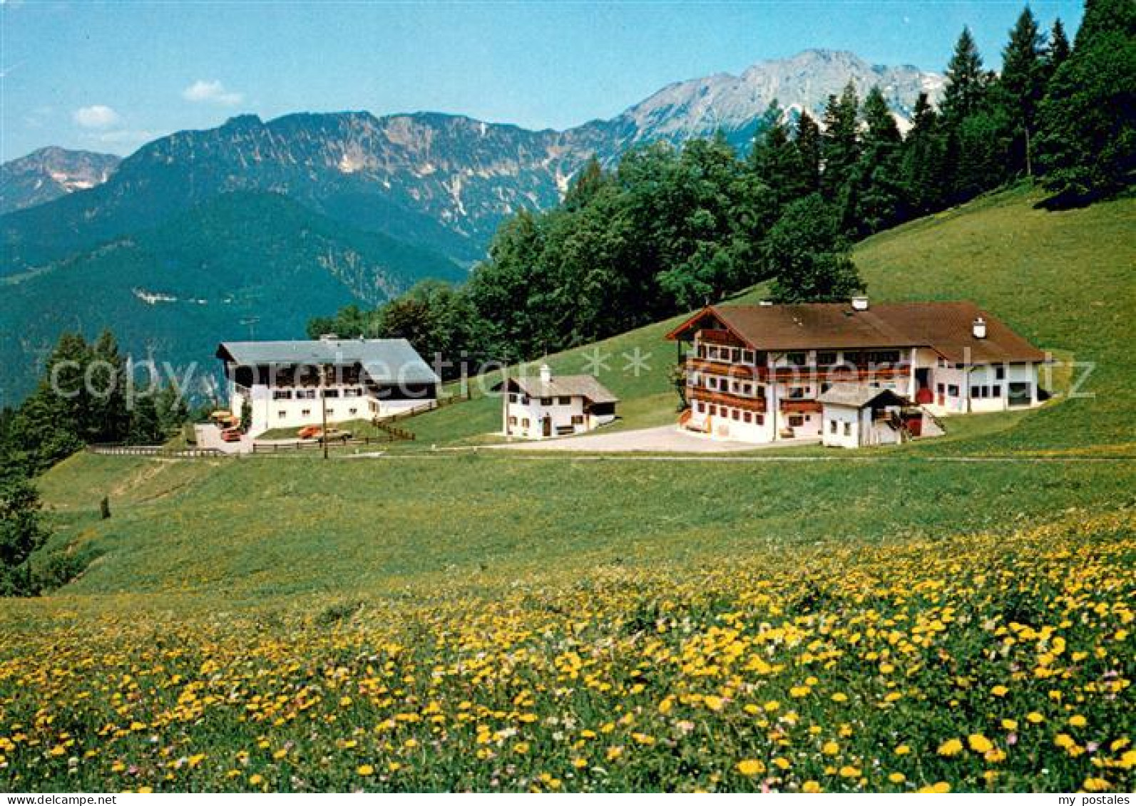 73725895 Oberau  Berchtesgaden Pension Madllehn Bergwiese Alpen  - Berchtesgaden