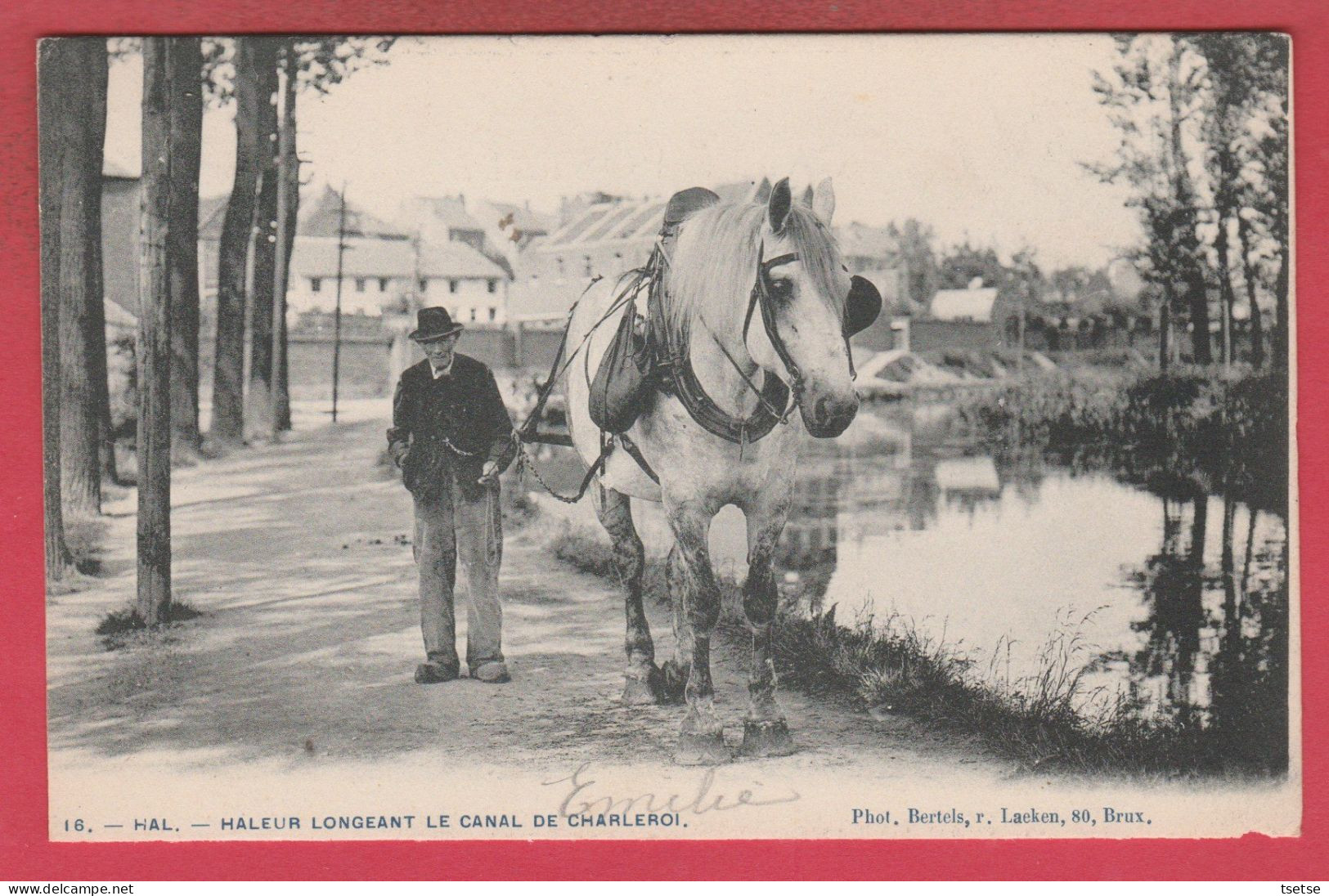 Halle / Hal - Haleur Longeant Le Canal De Charleroi - 1904 ( Verso Zien ) - Halle