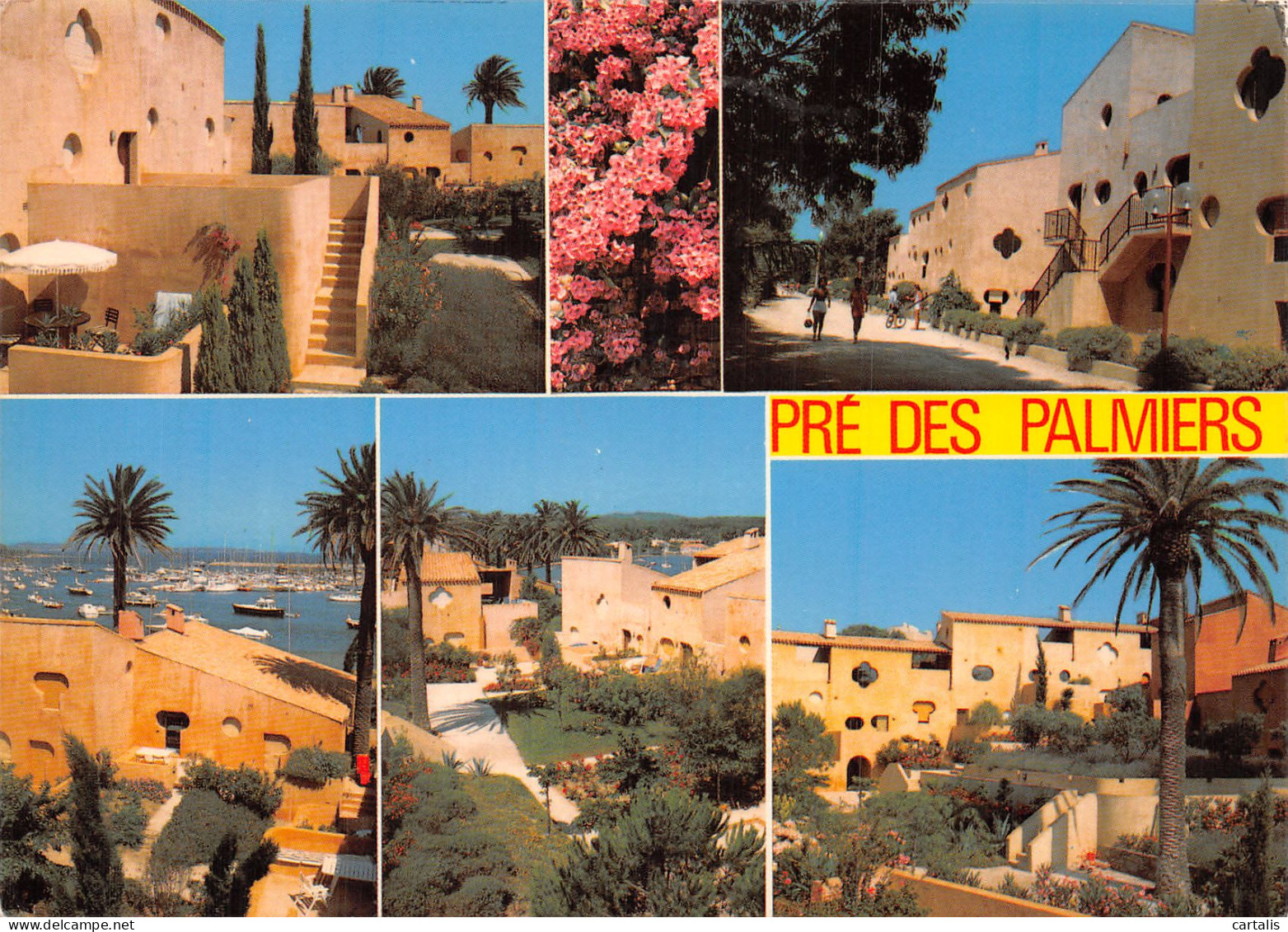 83-PORQUEROLLES PRE DES PALMIERS-N° 4425-C/0023 - Porquerolles