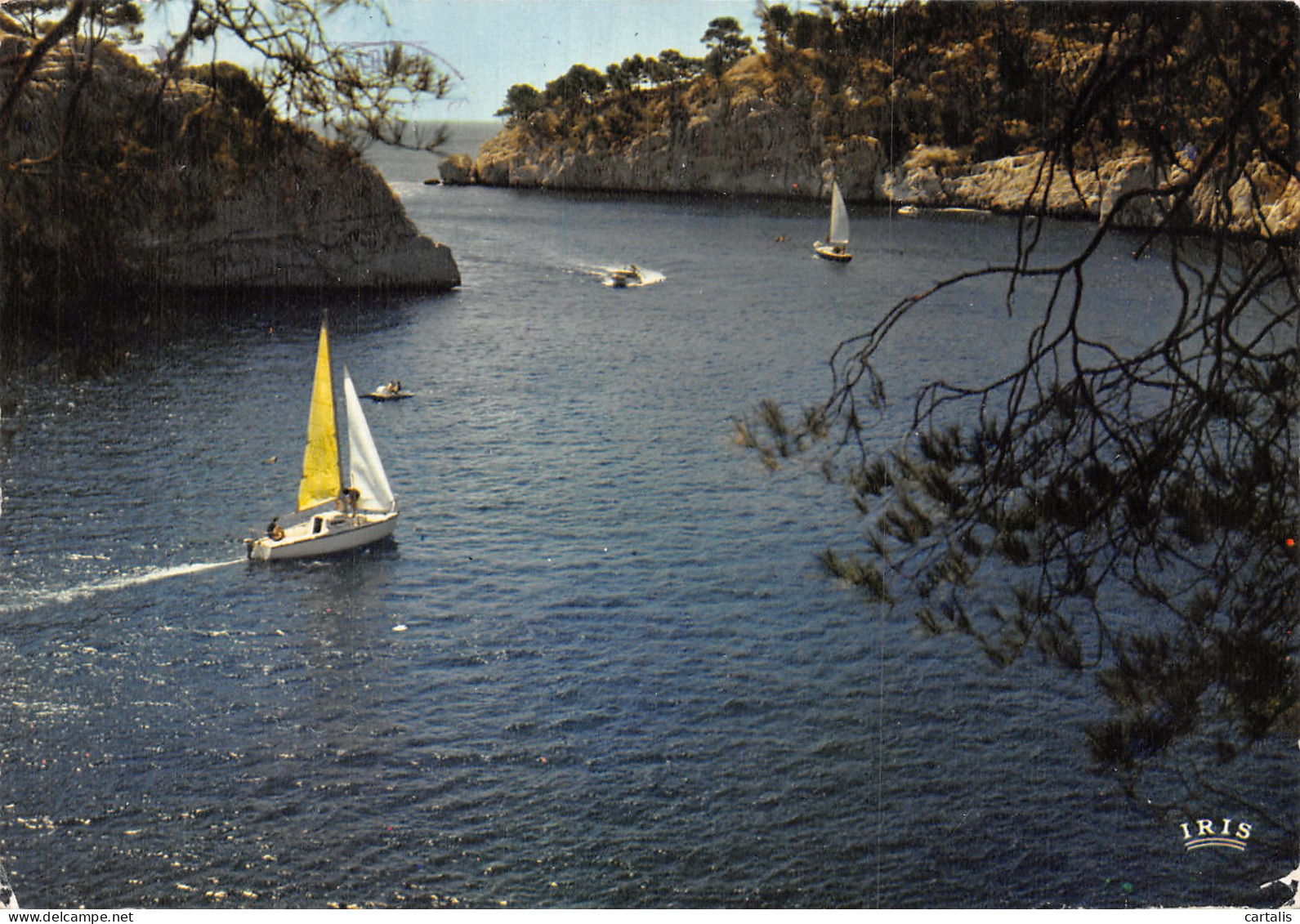 13-CASSIS SUR MER-N° 4425-B/0271 - Cassis