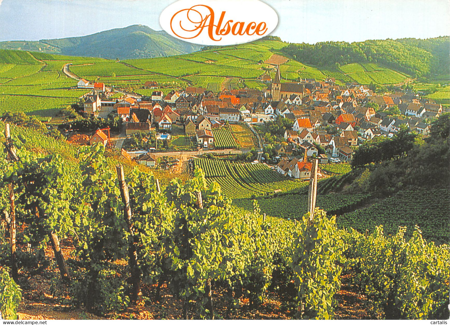 67-ALSACE-N° 4425-B/0155 - Other & Unclassified