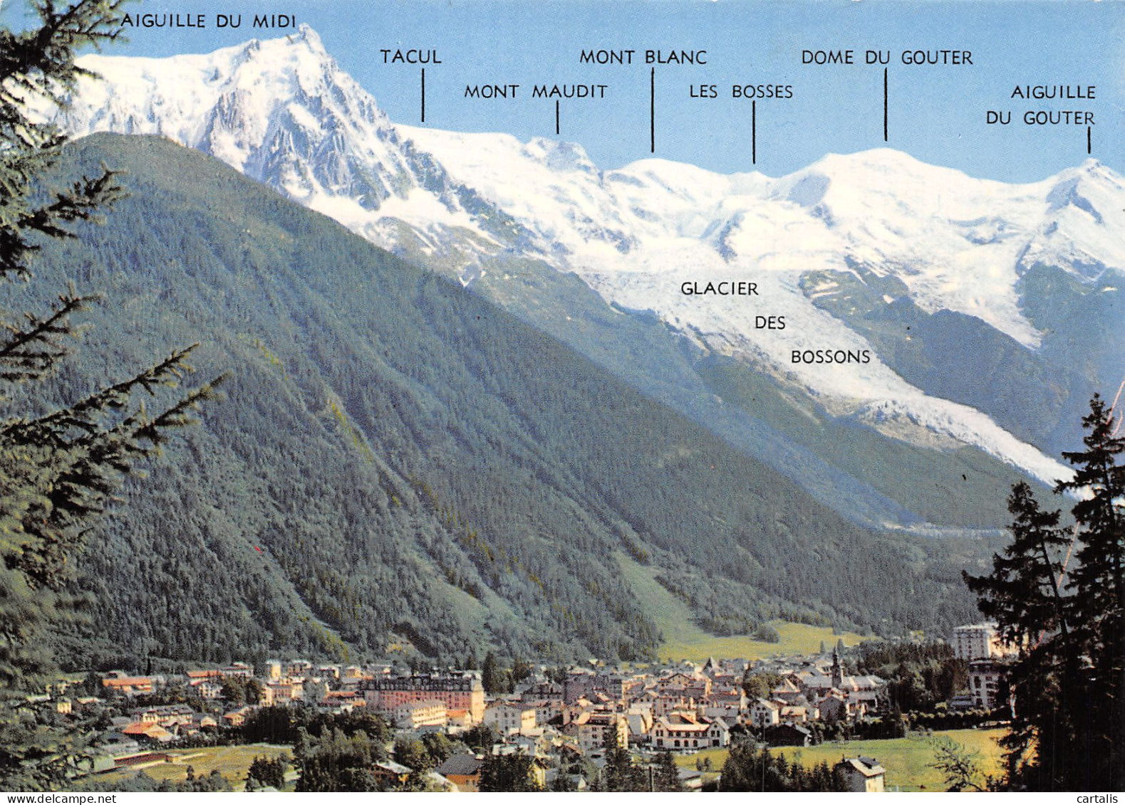 74-CHAMONIX-N° 4425-B/0111 - Chamonix-Mont-Blanc