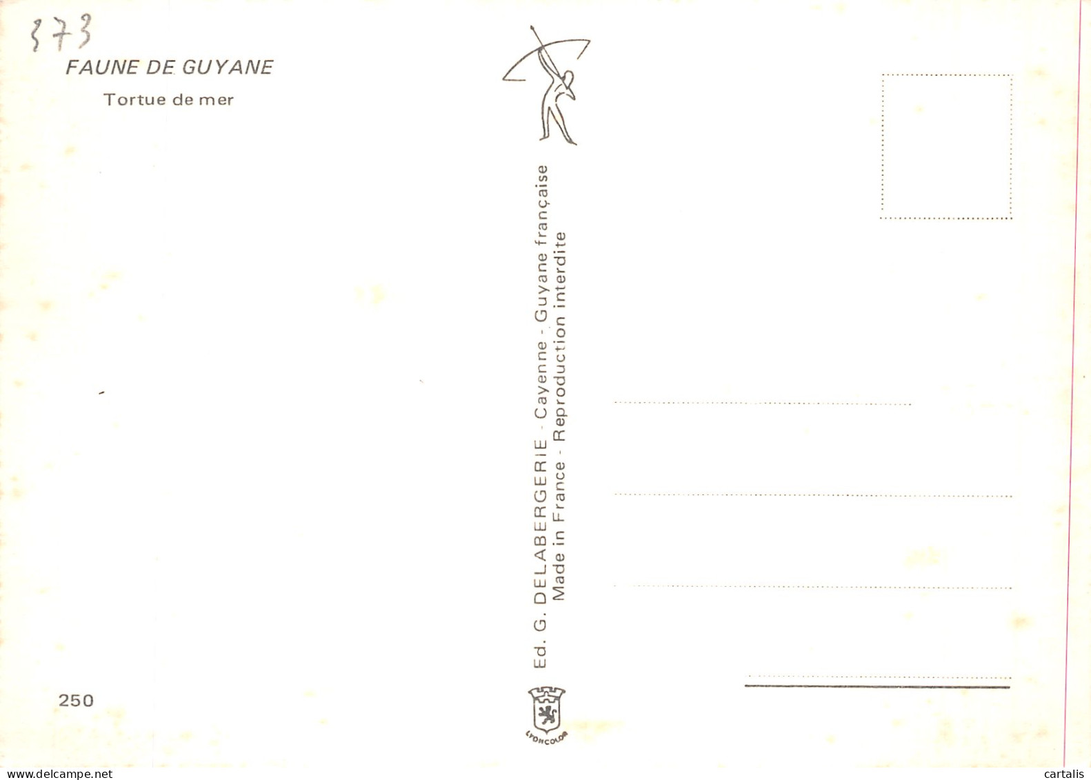 973-GUYANE FAUNE TORTUE DE MER-N° 4426-B/0293 - Sonstige & Ohne Zuordnung