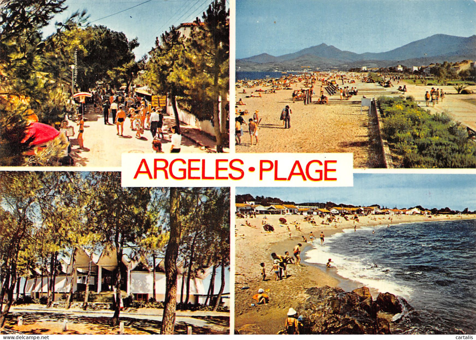 66-ARGELES SUR MER-N° 4426-B/0231 - Argeles Sur Mer