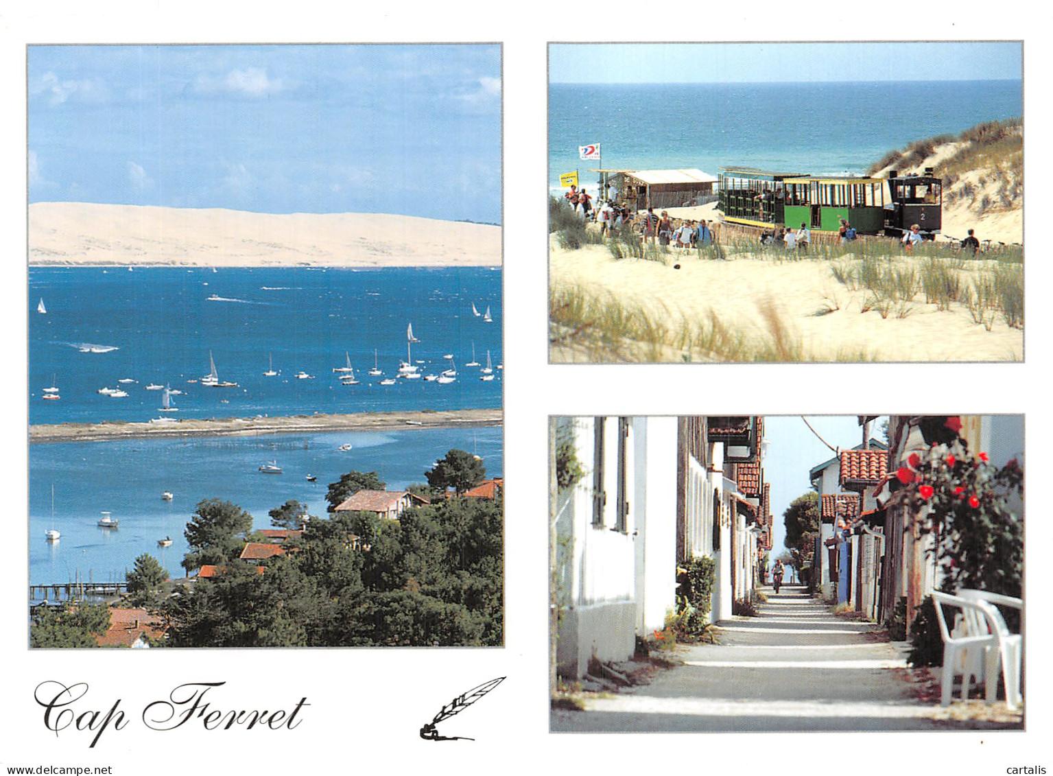 33-LE CAP FERRET-N° 4426-B/0145 - Autres & Non Classés