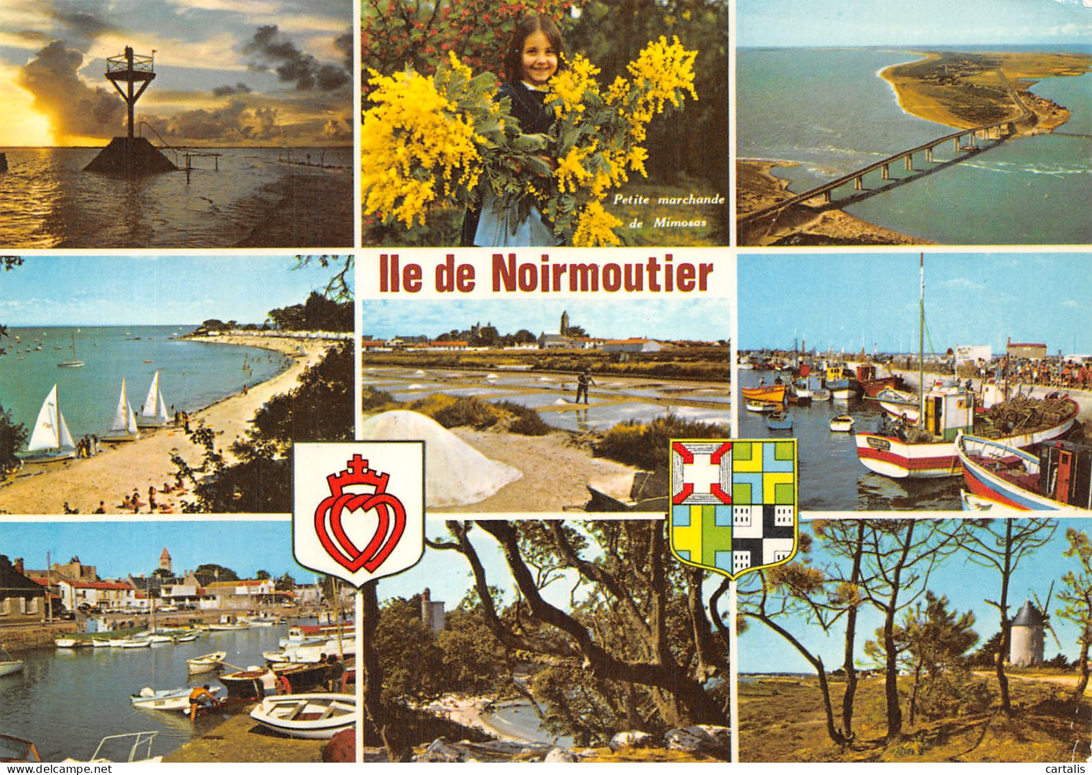 85-ILE DE NOIRMOUTIER-N° 4426-A/0345 - Ile De Noirmoutier