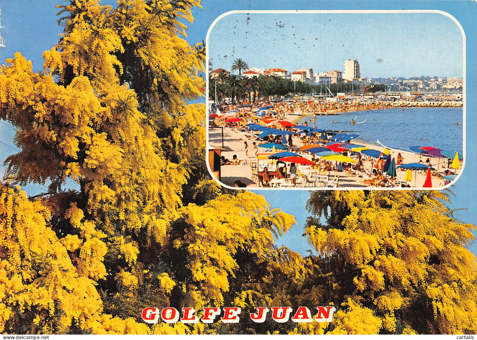 06-GOLFE JUAN-N° 4426-A/0029 - Sonstige & Ohne Zuordnung