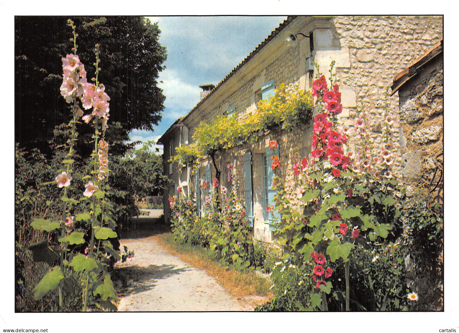 17-TALMONT SUR GIRONDE-N° 4425-D/0327 - Andere & Zonder Classificatie