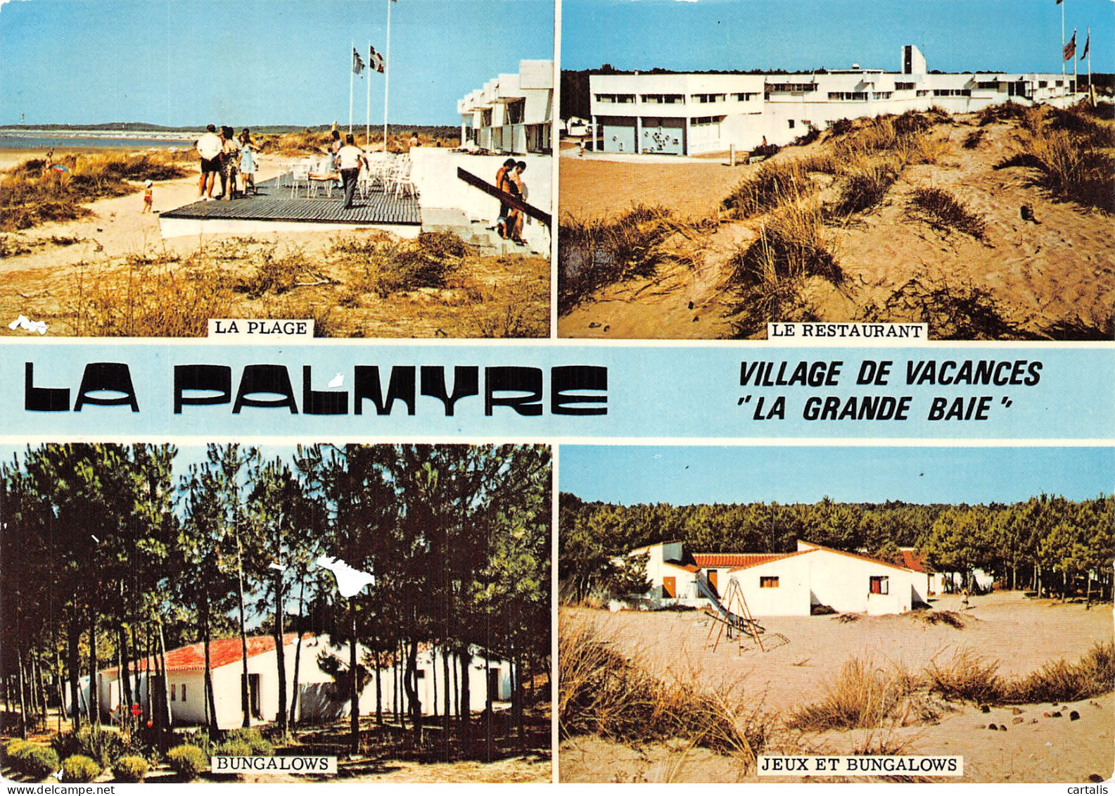 17-LA PALMYRE-N° 4425-D/0315 - Other & Unclassified