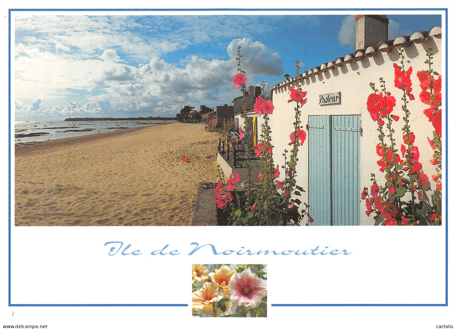 85-ILE DE NOIRMOUTIER-N° 4425-D/0301 - Ile De Noirmoutier